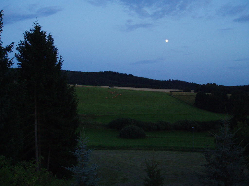 Eifelcottage Ulmen Zimmer foto